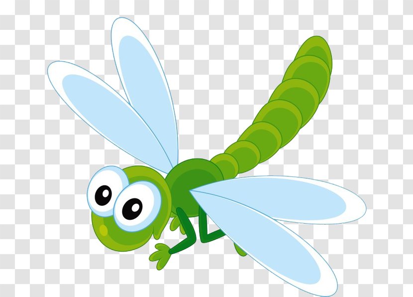 Insect Drawing Clip Art - Line Transparent PNG