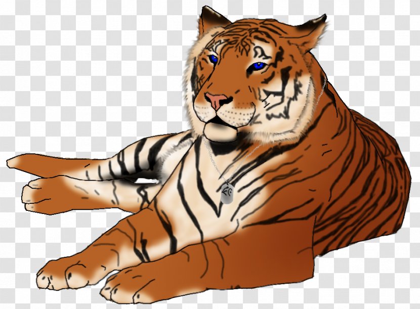 Tiger Lion Whiskers Illustration Clip Art - Organism Transparent PNG
