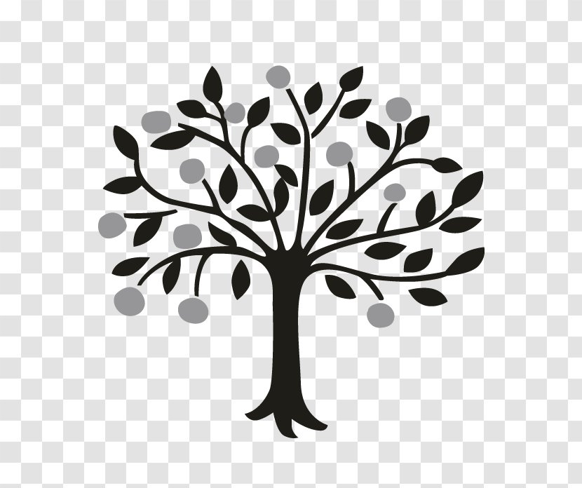 Draw Trees Drawing Bay Laurel Lemon - Succulent Border Transparent PNG