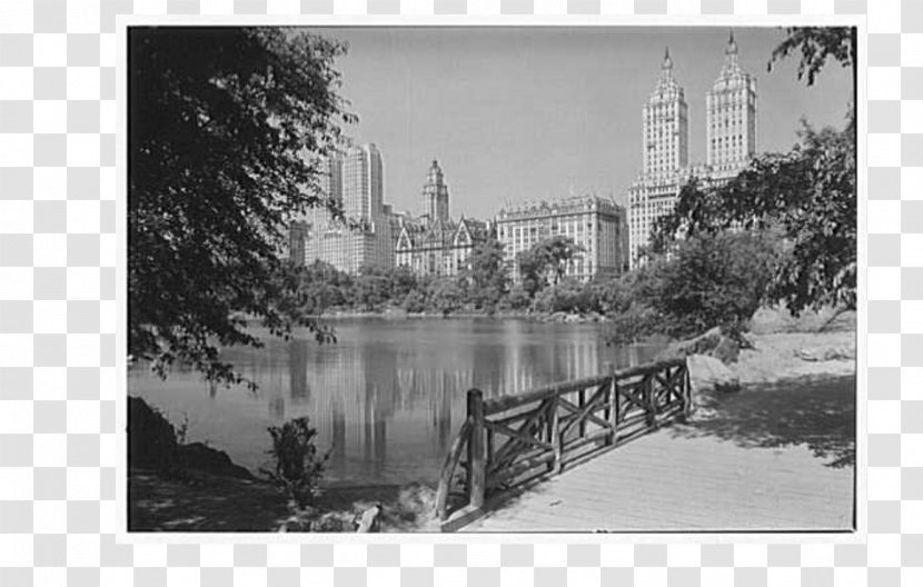 Picture Frames Stock Photography White - Sky Plc - Central Park Transparent PNG