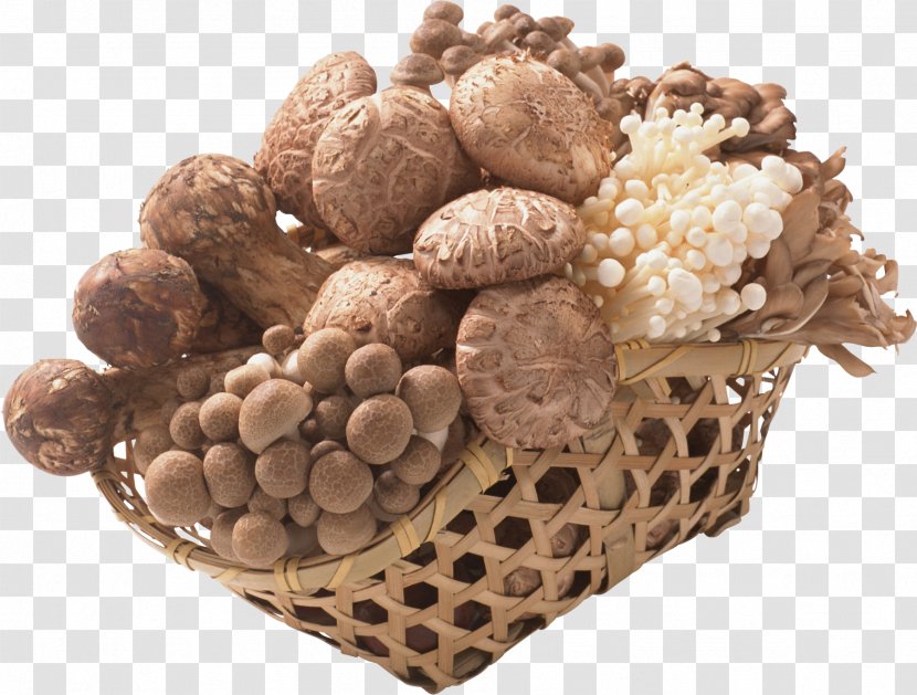 Mushroom Fungus - Food - Chillicoriandermintgreen Transparent PNG