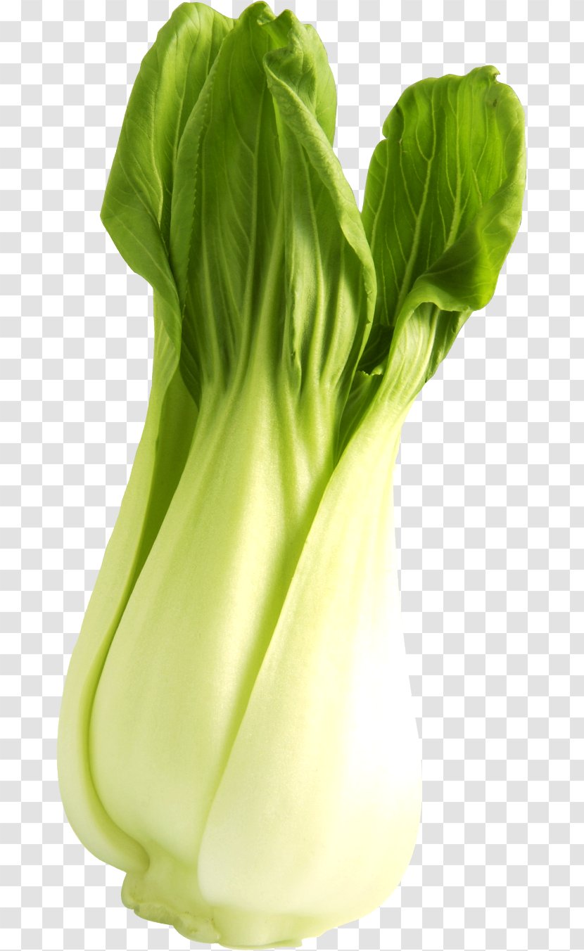 Romaine Lettuce Vegetable Spring Greens Collard Chard - Flower - HD Transparent PNG