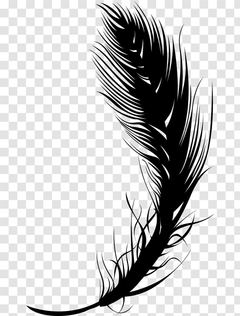 Feather Quill Black - Bird - Pen Transparent PNG