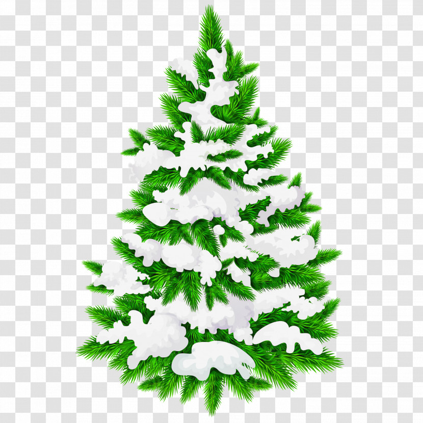 Christmas Tree Transparent PNG