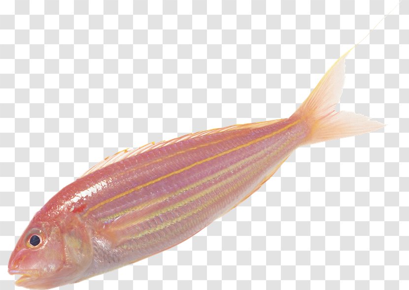 Milkfish Fish Soup Scale - Red Snapper - VK Transparent PNG