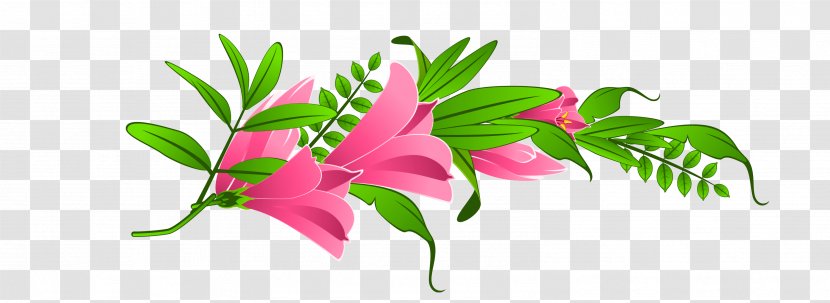 Pink Flowers Fuchsia Clip Art - Floral Design - Flower Transparent PNG