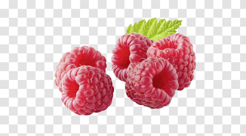 Red Raspberry Drawing Image Unsere Heimat - Berry - Framboise Background Transparent PNG
