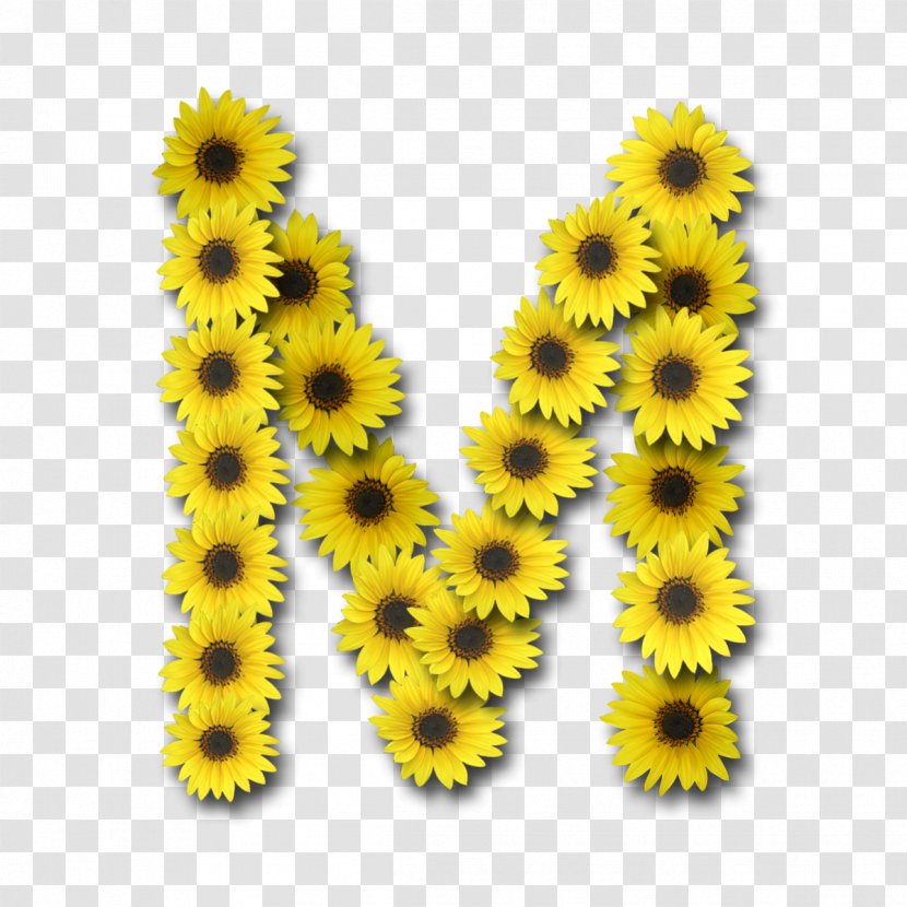 Letter Case Alphabet Common Sunflower - Yellow Transparent PNG