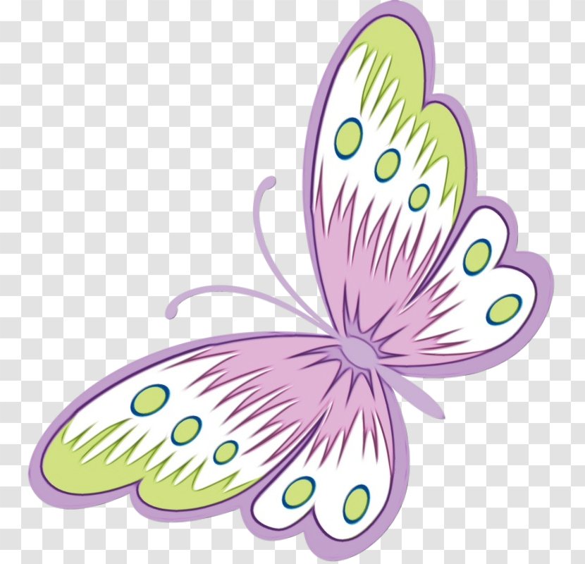 Butterfly M / 0d Design Cartoon Text - Watercolor - Wildflower Moths And Butterflies Transparent PNG