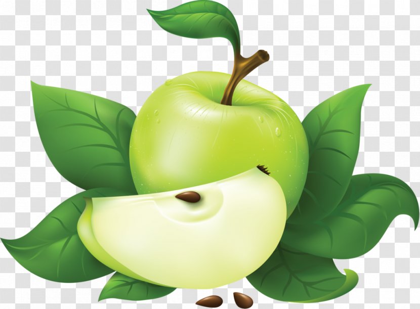 Apple Clip Art - Food - Green Transparent PNG
