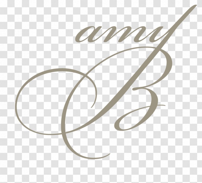 Wedding Dress Bride Photography - Bridegroom Transparent PNG