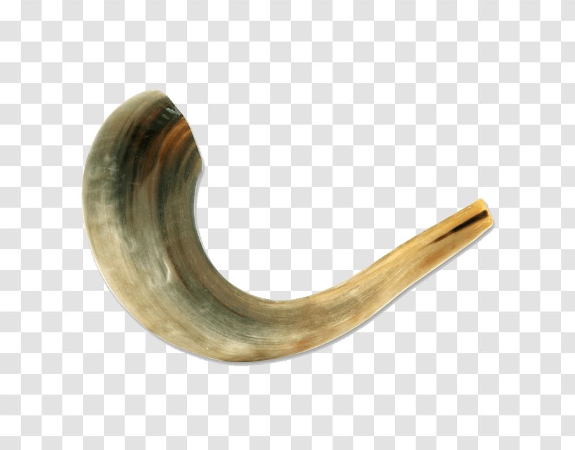 Shofar Sheep Kuduhorn Rosh Hashanah - Kudu Transparent PNG