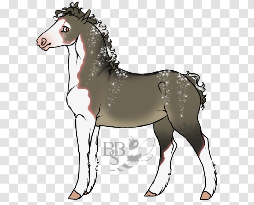 Mule Foal Mare Stallion Donkey - Pony - Bbs Poster Transparent PNG