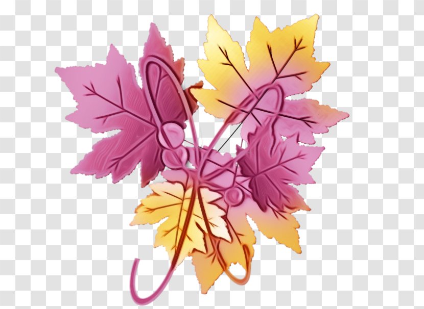 Autumn Tree Silhouette - Watercolor - Vitis Maple Transparent PNG