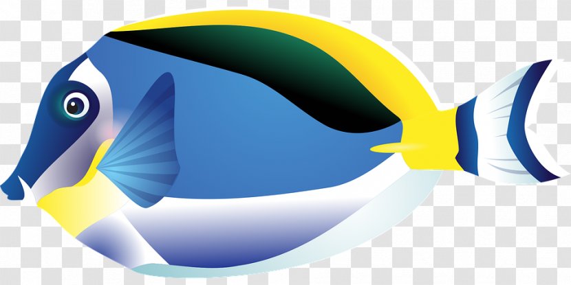 Tropical Fish Drawing Clip Art - Yellow Transparent PNG