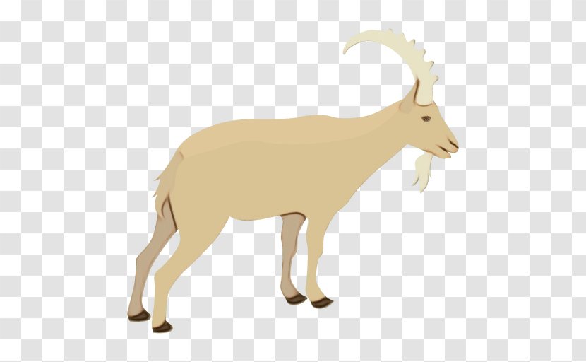 Goat Barbary Sheep Antelope Deer - Animal Figure - Neck Transparent PNG