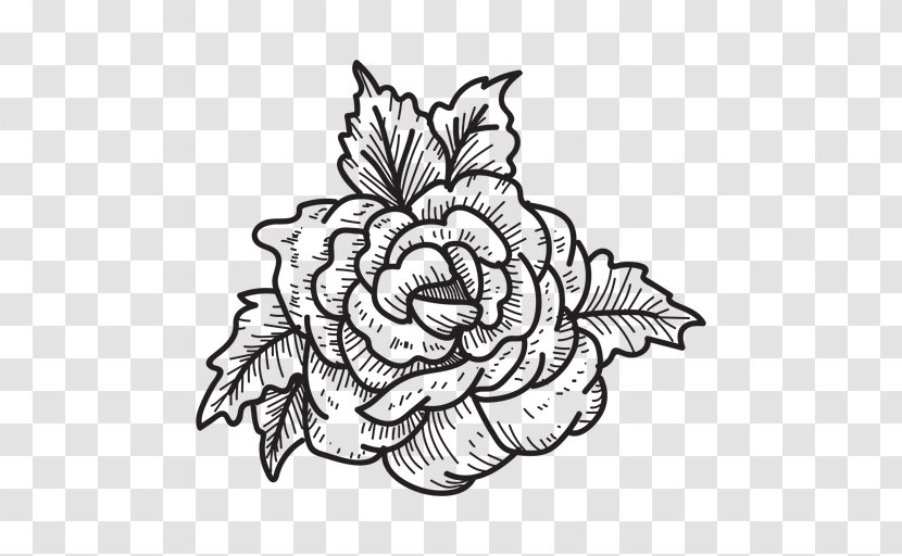 Floral Design Line Art Drawing Sketch - White - Rose Transparent PNG