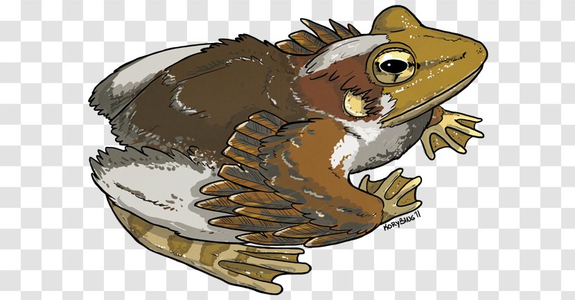 Toad True Frog InCryptid Series Bird Transparent PNG