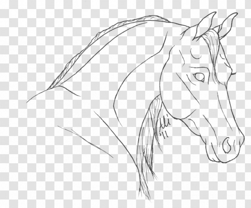 Mane Coloring Book Mustang Pony Drawing Transparent PNG