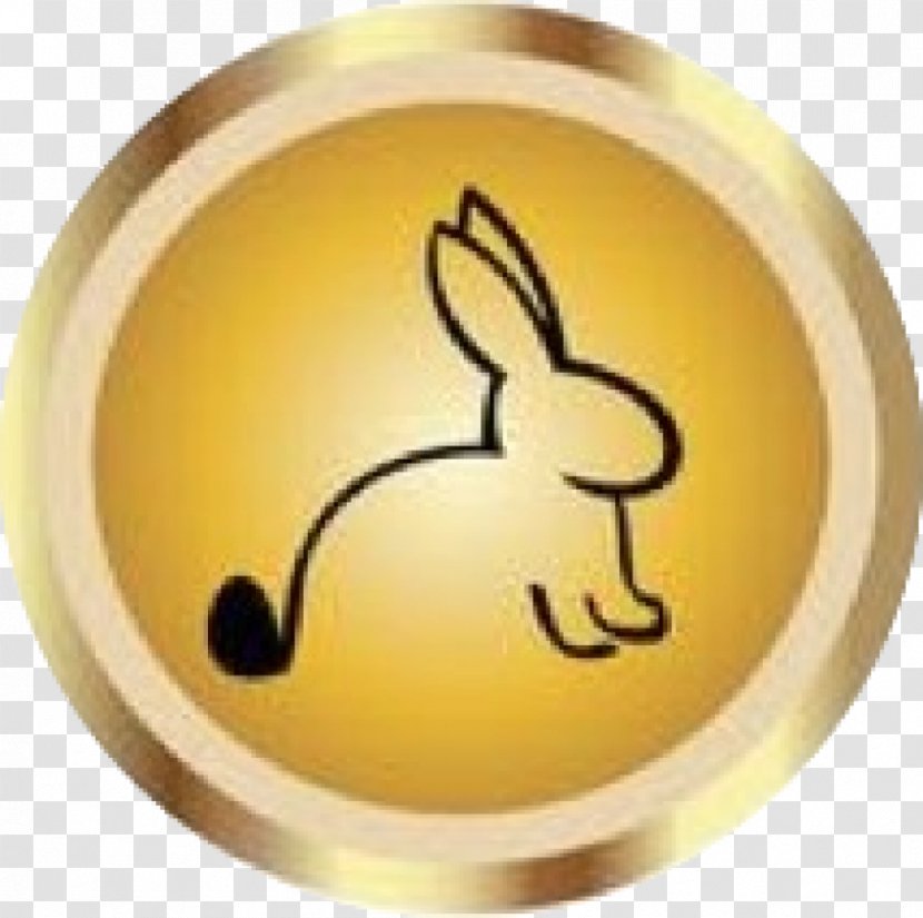 European Rabbit Drawing Clip Art Transparent PNG