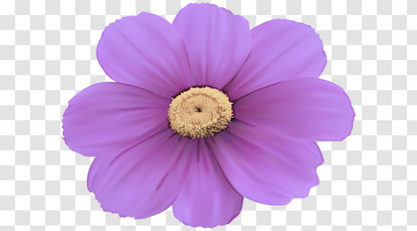 Petal Violet Flower Purple Pink Transparent PNG