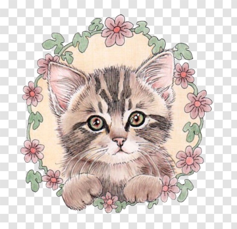 Cat Illustrator Cuteness Illustration - Fauna - Hand Drawn Cute Transparent PNG