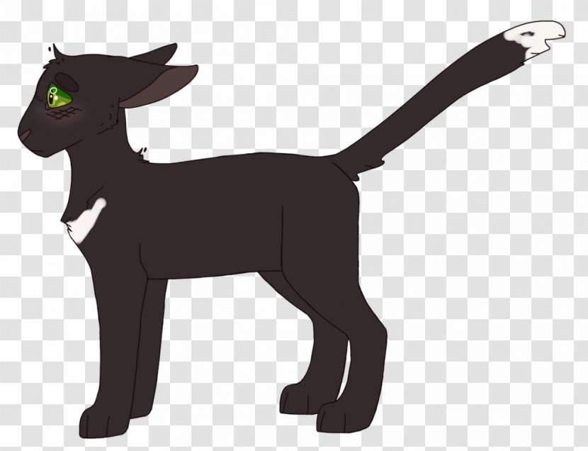 Cat Horse Pack Animal Donkey Mammal - Yonni Meyer Transparent PNG