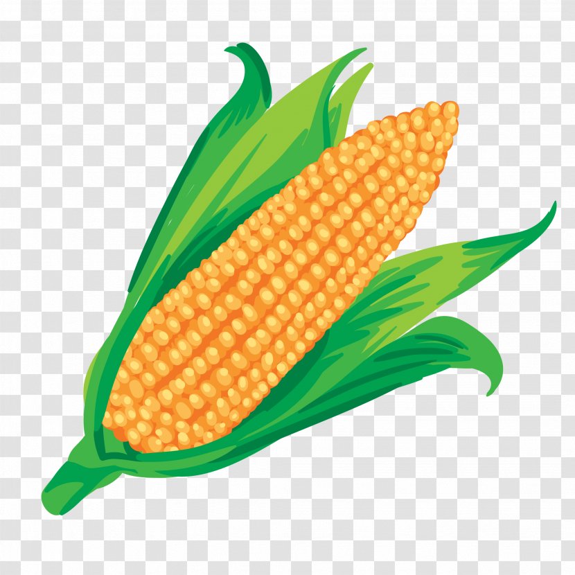 Maize Vegetable Corn On The Cob - Juice Transparent PNG