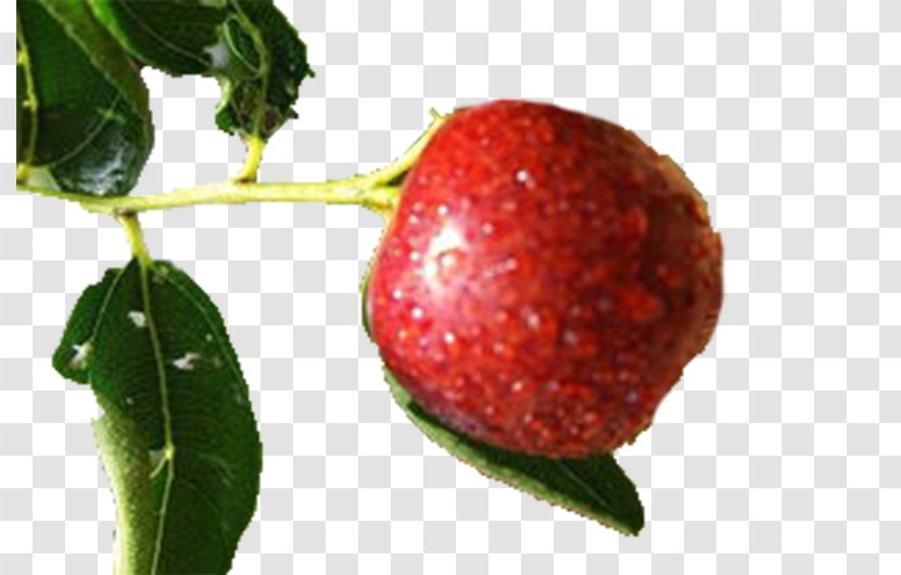 Strawberry Jujube Fruit Auglis - Superfood - Red Rain Pictures Transparent PNG