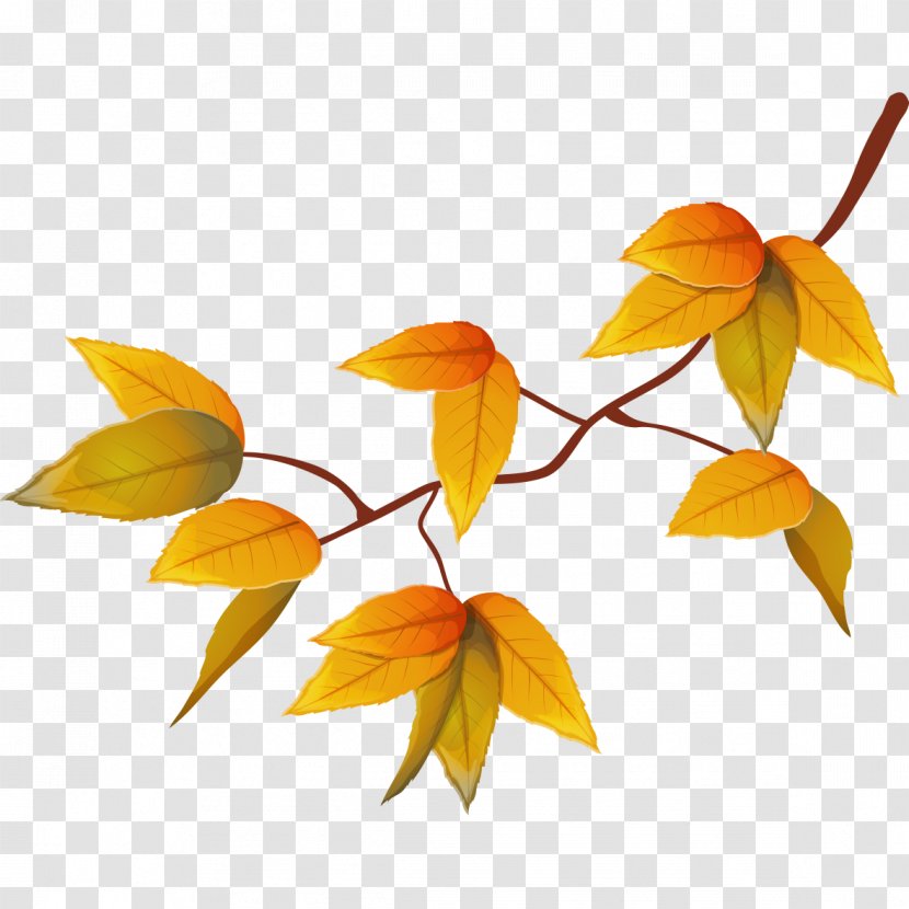 Yellow Autumn Adobe Illustrator Illustration - Orange - Leaves Transparent PNG