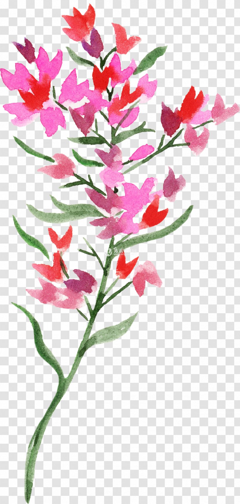 Watercolor Painting Floral Design Flower Image - Blog Transparent PNG