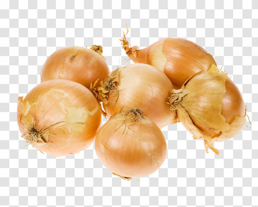 Vegetable Onion Garlic Condiment Food - Ingredient - Vegetables Transparent PNG