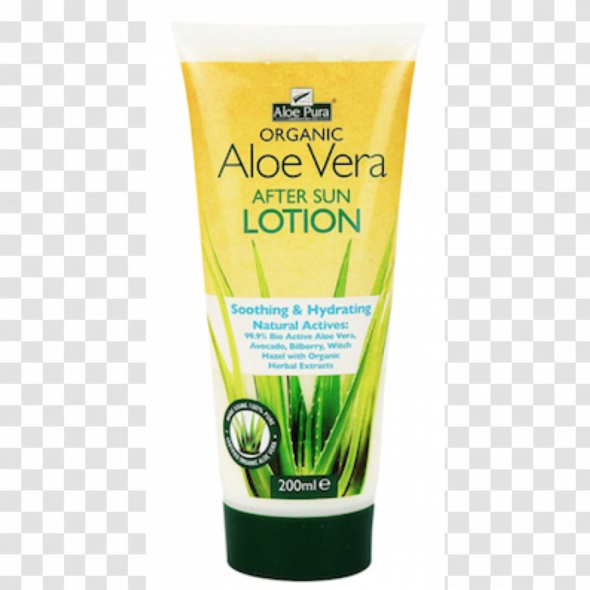 Sunscreen Lotion Aloe Vera Aftersun Factor De Protección Solar - How To Draw Plant Step By Transparent PNG