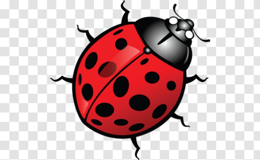 Ladybird Beetle Logo Clip Art Transparent PNG