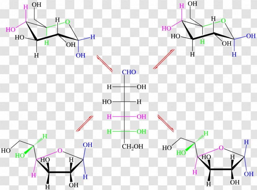 Glucose Amylase Molecule Starch Sugar - Symmetry Transparent PNG