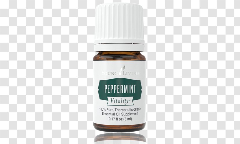 English Lavender Young Living Peppermint Essential Oil - Vegetable Transparent PNG