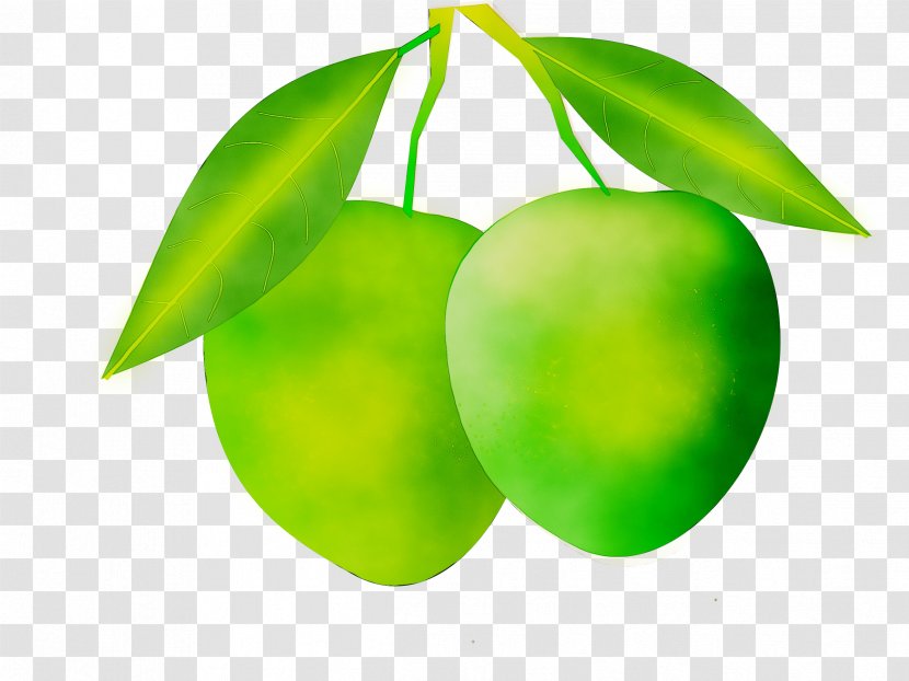 Mango Clip Art Aam Panna Mangifera Indica - Food Transparent PNG