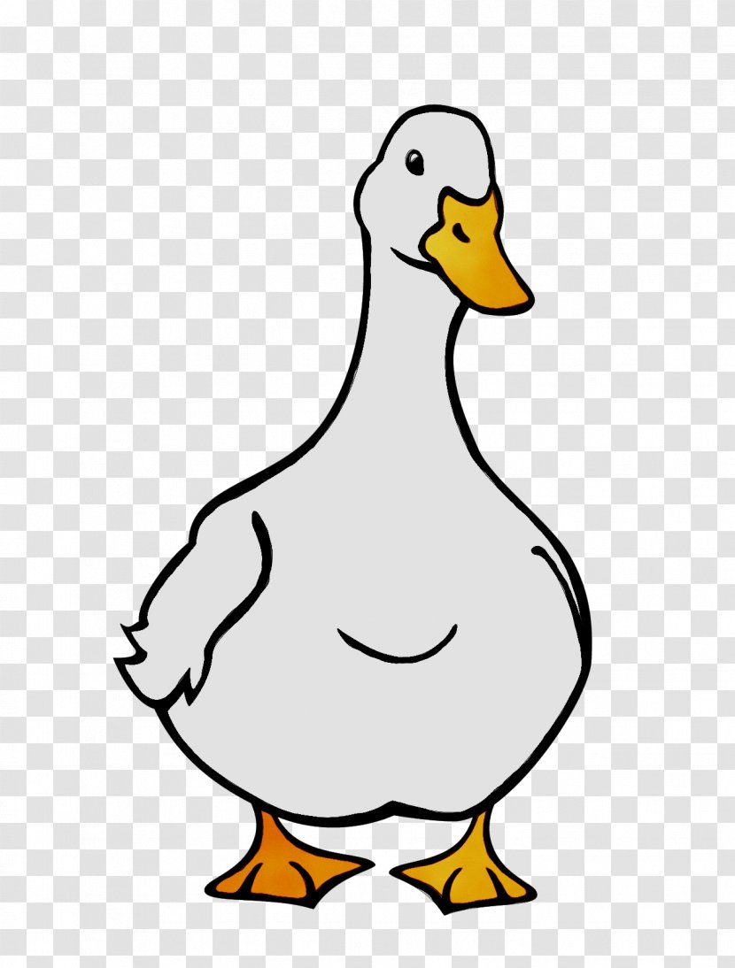 Donald Duck Swans American Pekin Drawing - Goose - Flightless Bird Transparent PNG