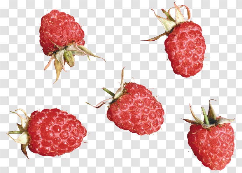 Strawberry Red Raspberry Tayberry Accessory Fruit - Brambles Transparent PNG