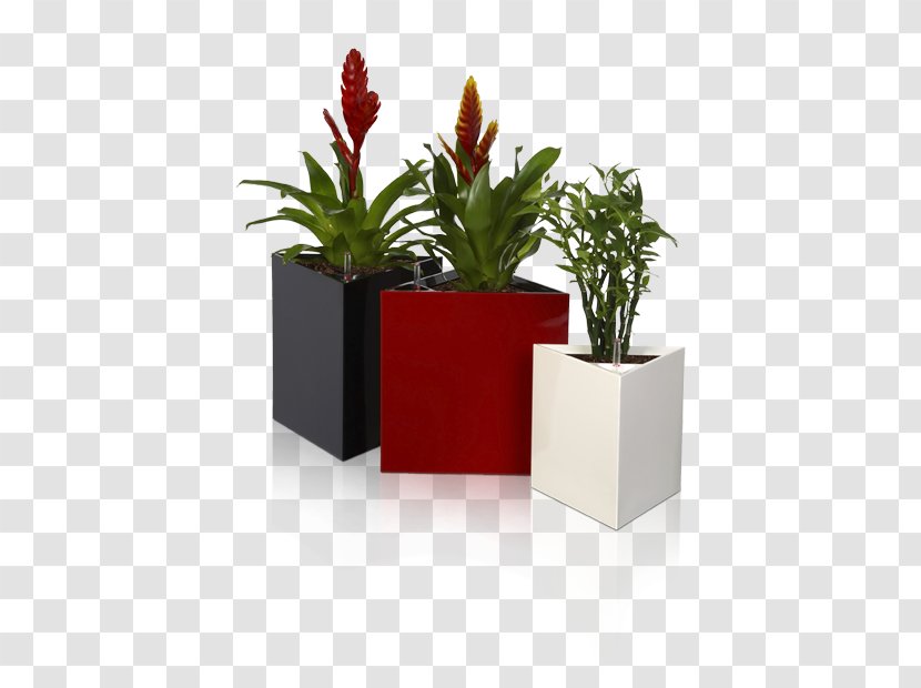 Flowerpot Container Garden Houseplant Shopping - Braided Transparent PNG