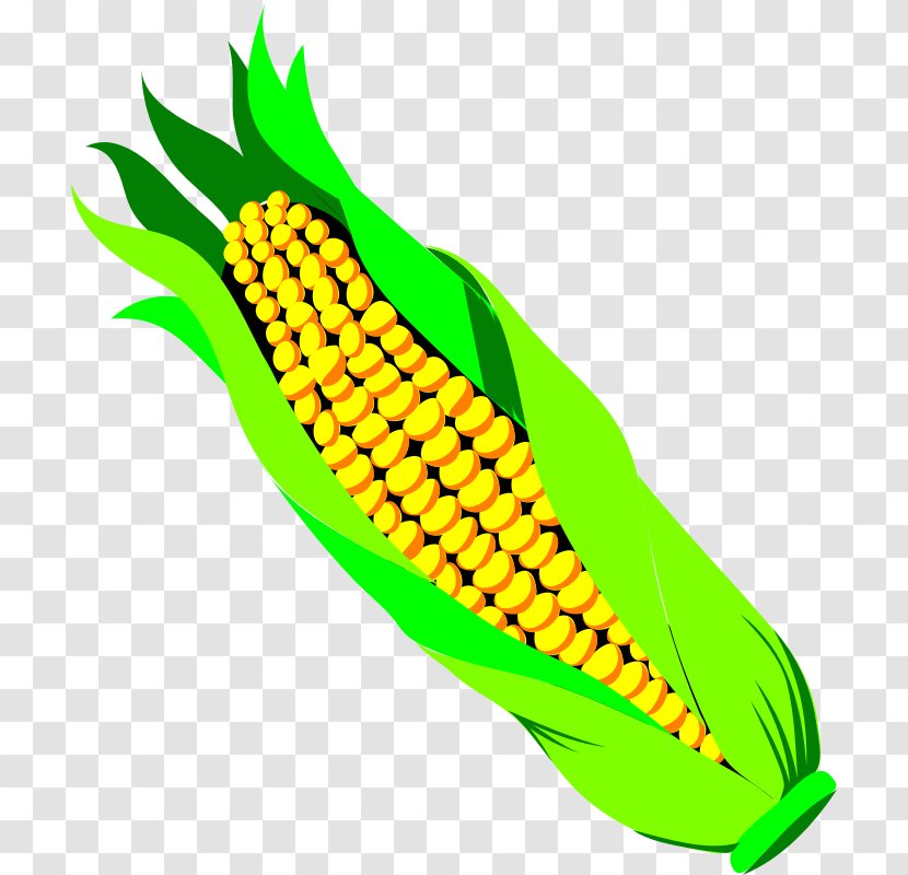 Vegetable Corn On The Cob Sweet Clip Art - Maize - Field Transparent PNG
