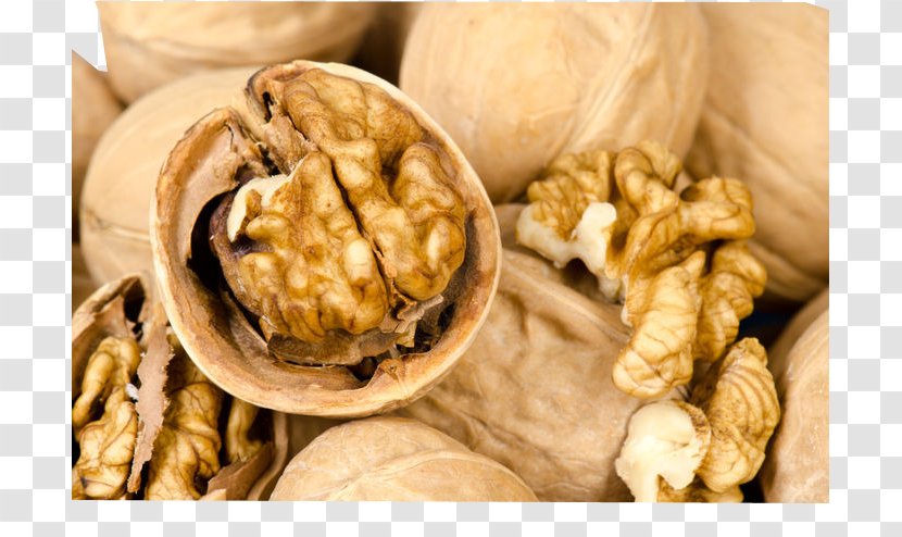 Walnut Dayao County Fruit U65b0u7586u7d19u76aeu6838u6843 - Nut - Thin-skinned Walnuts Close-up Transparent PNG