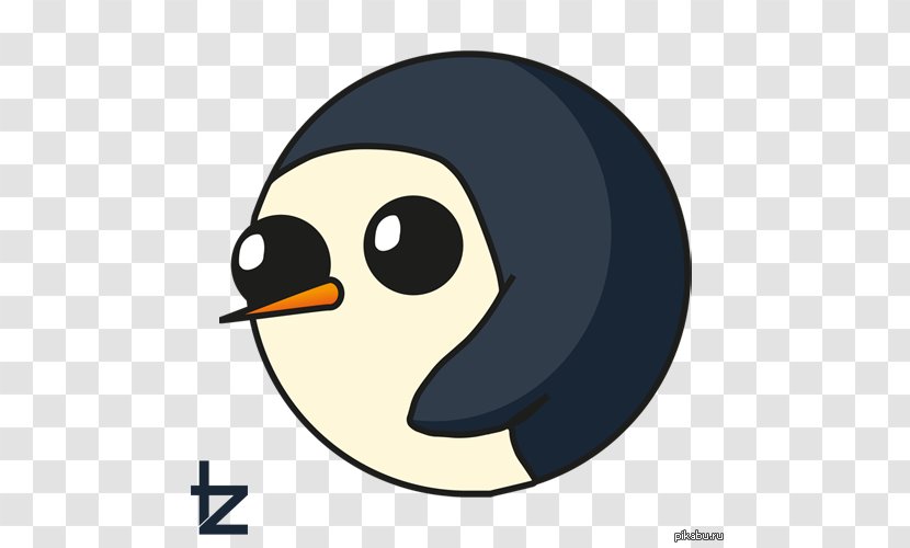 Penguin Sans Famille YouTube Video Avatar - Beak Transparent PNG