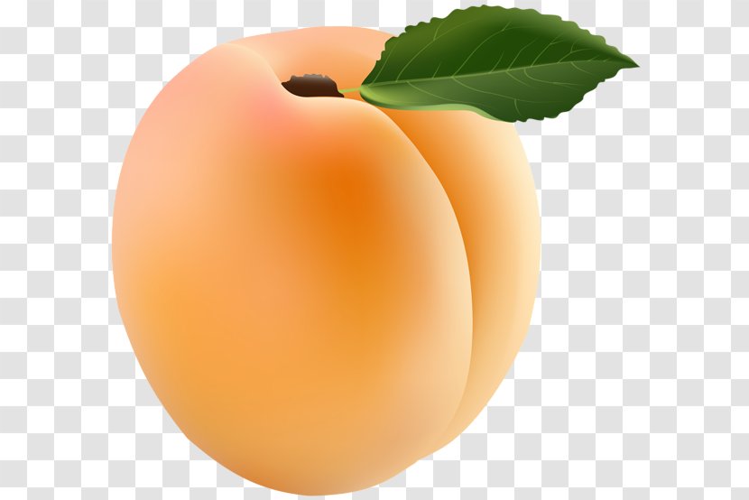 Apricot Clip Art - Food Transparent PNG