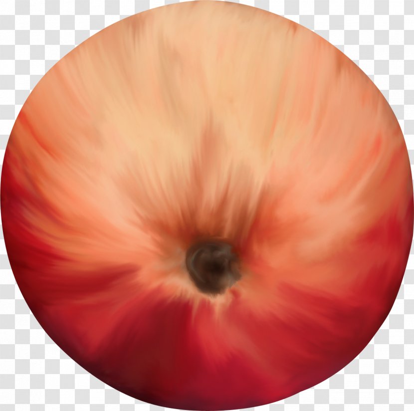 Close-up - Flower - Pretty Apple Transparent PNG