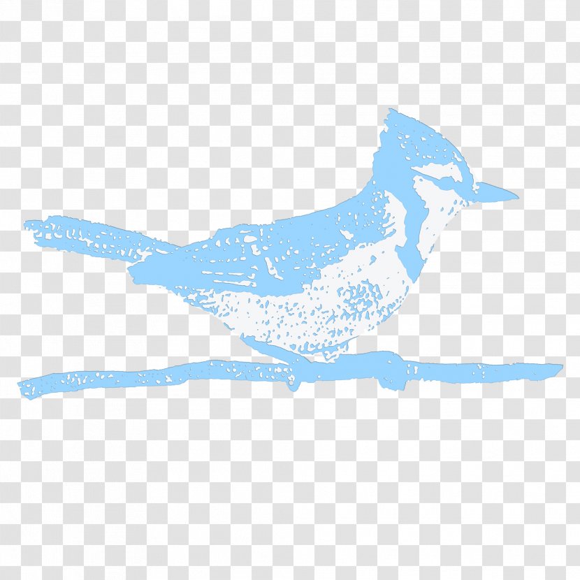 Etsy Beak Blue Jay Zazzle Art - Mammal Transparent PNG