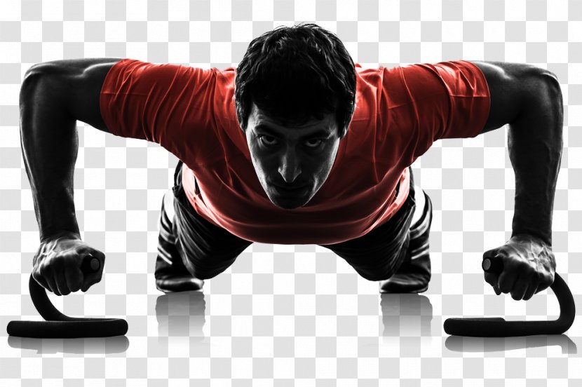 Physical Exercise Push-up Fitness Centre Personal Trainer - Flower - Mixed Martial Artist Transparent PNG