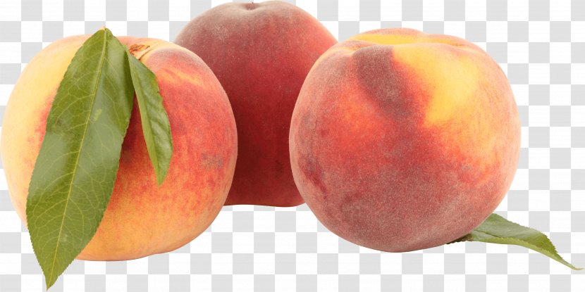 Nectarine Saturn Peach - Fruit - Image Transparent PNG