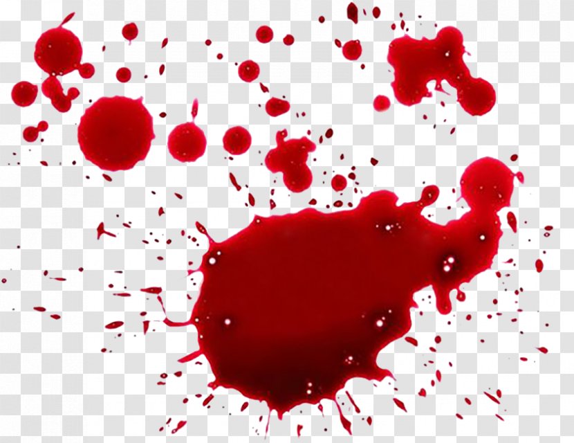 Theatrical Blood Bloodstain Pattern Analysis Clip Art - Tree - Punctate Transparent PNG