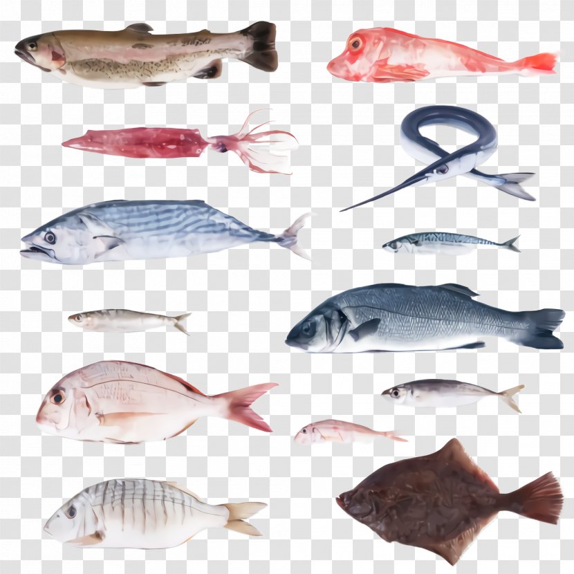 Fish Products Tilapia Snapper - Bass - Bonyfish Transparent PNG